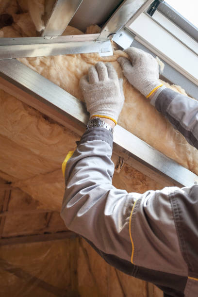 Trusted Lineville, AL Insulation Contractor Experts